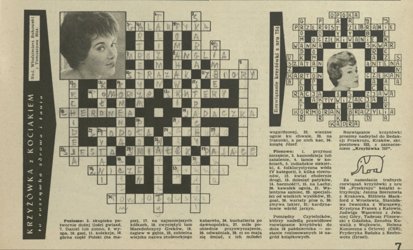 Krzyżówka z kociakiem