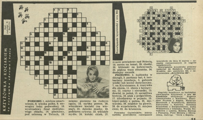 Krzyżówka z kociakiem