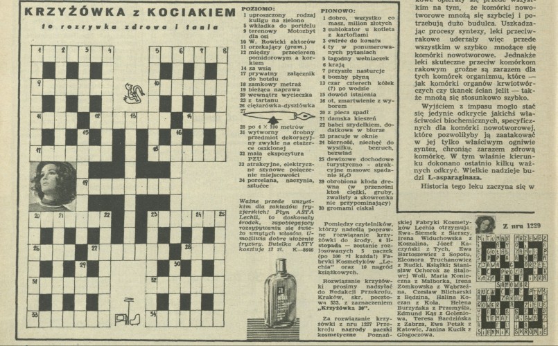 Krzyżówka z kociakiem