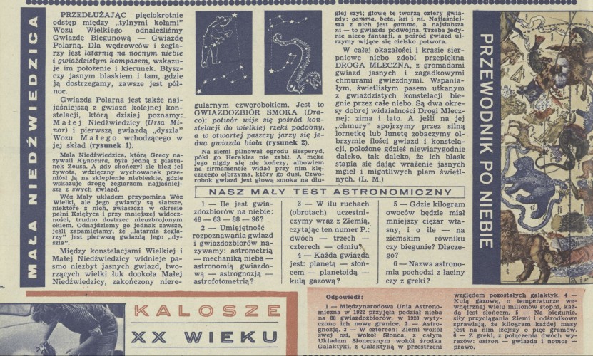 Przewodnik po niebie. Mała Niedźwiedzica