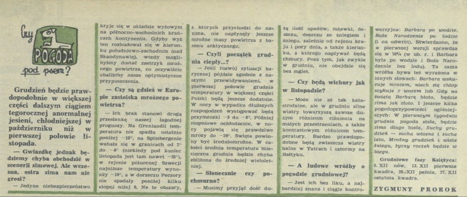 Czy pogoda pod psem?