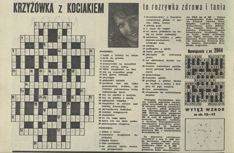 Krzyżówka z kociakiem