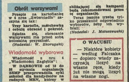 Wiadomość wyborowa
